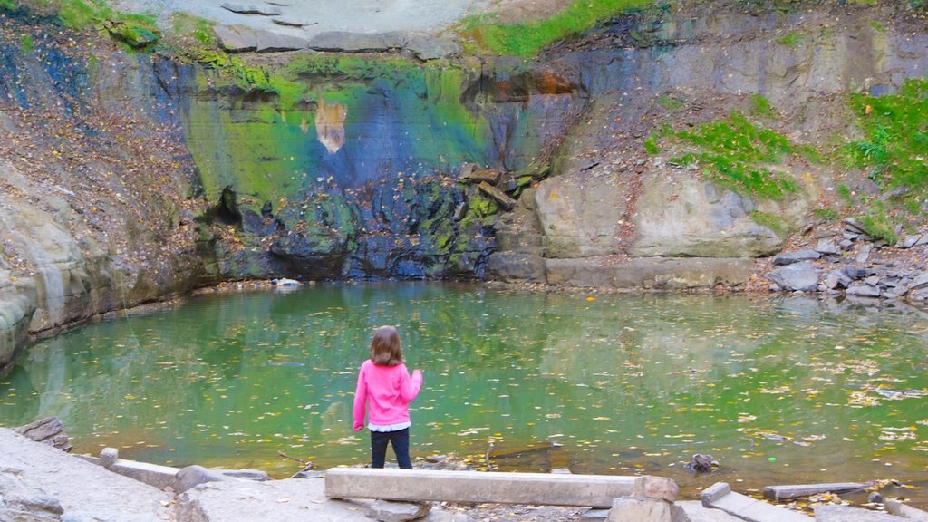 Minnehaha Park mostrando um lago assim como uma criança sozinha