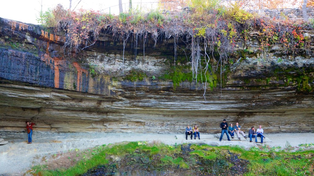 Minnehaha Park which includes tranquil scenes and a park