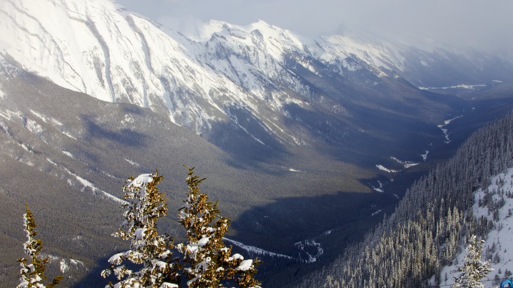 Banff Gondola which includes mountains, landscape views and snow