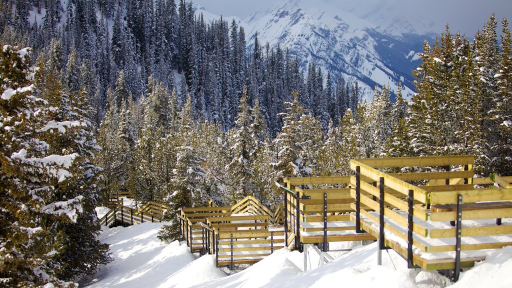 Banff Gondola featuring mountains, snow and landscape views