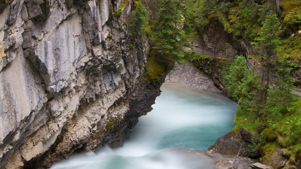 Johnston Canyon ofreciendo un barranco o cañón, vistas de paisajes y un río o arroyo