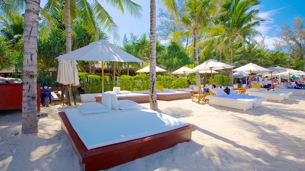 Kamala Beach showing tropical scenes and a sandy beach