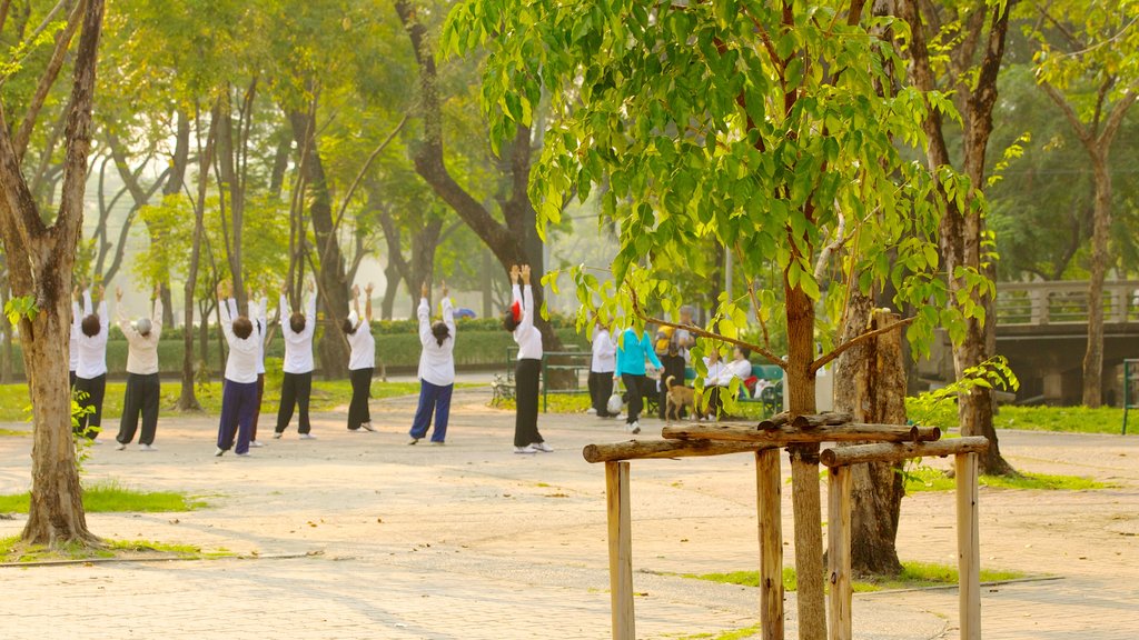 Parque Lumpini mostrando un jardín y un spa de día