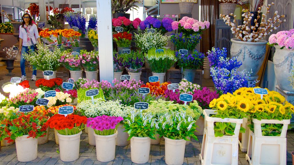 Flower Market featuring markets, wild flowers and flowers