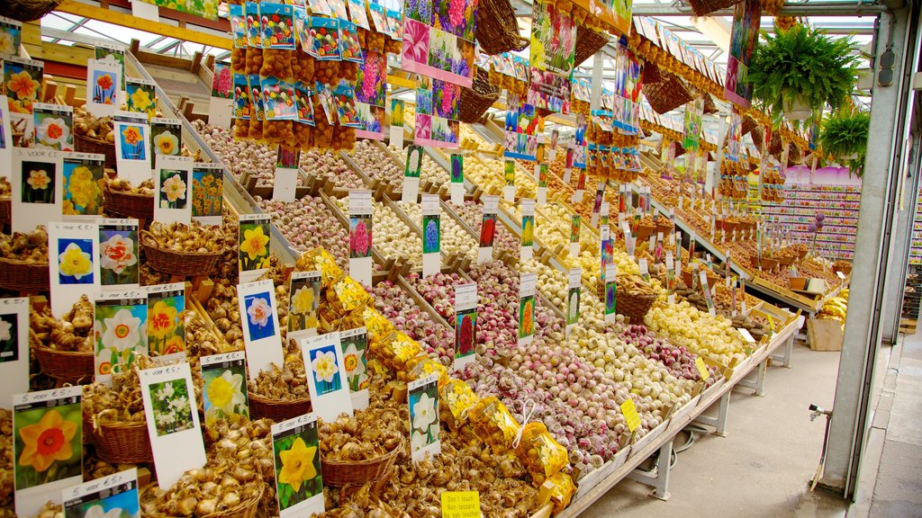 Marché aux fleurs mettant en vedette marchés