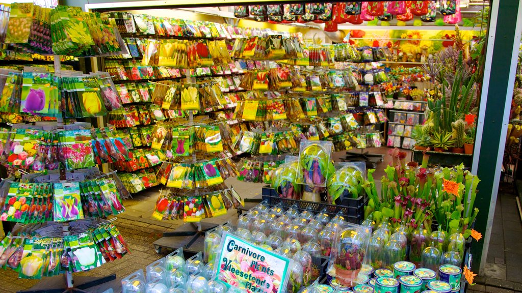 Flower Market showing flowers, markets and interior views