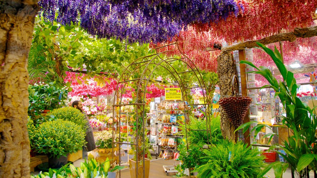 Mercado de las flores mostrando flores, mercados y vistas interiores