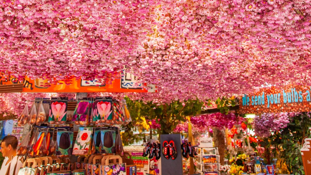 Flower Market showing flowers and markets