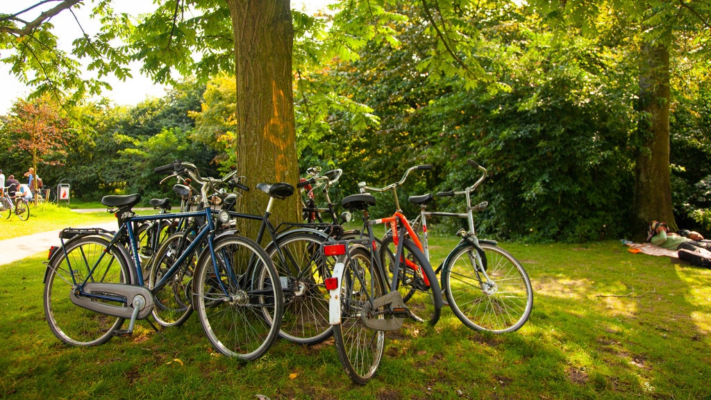 Amsterdam showing cycling, a garden and landscape views