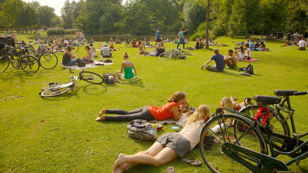 Vondelpark showing a garden, cycling and landscape views