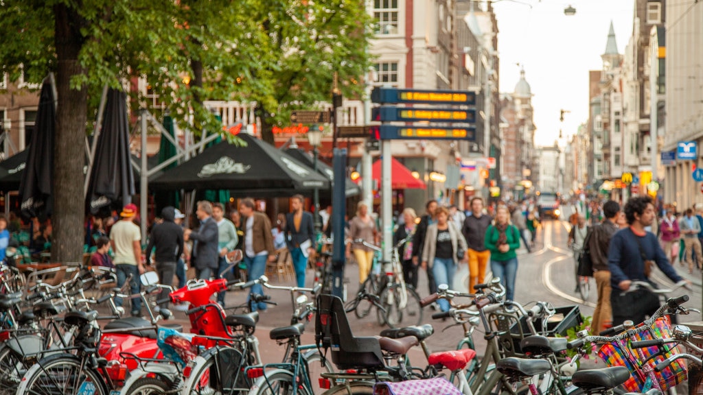 Leidseplein showing cycling, street scenes and a city