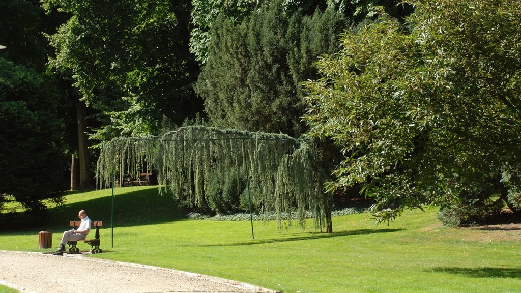 Meurthe-et-Moselle caracterizando paisagem e um parque assim como um homem sozinho