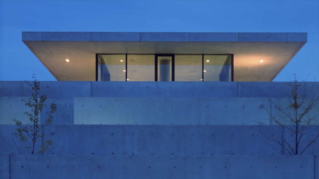 Pulitzer Foundation for the Arts which includes night scenes, art and modern architecture