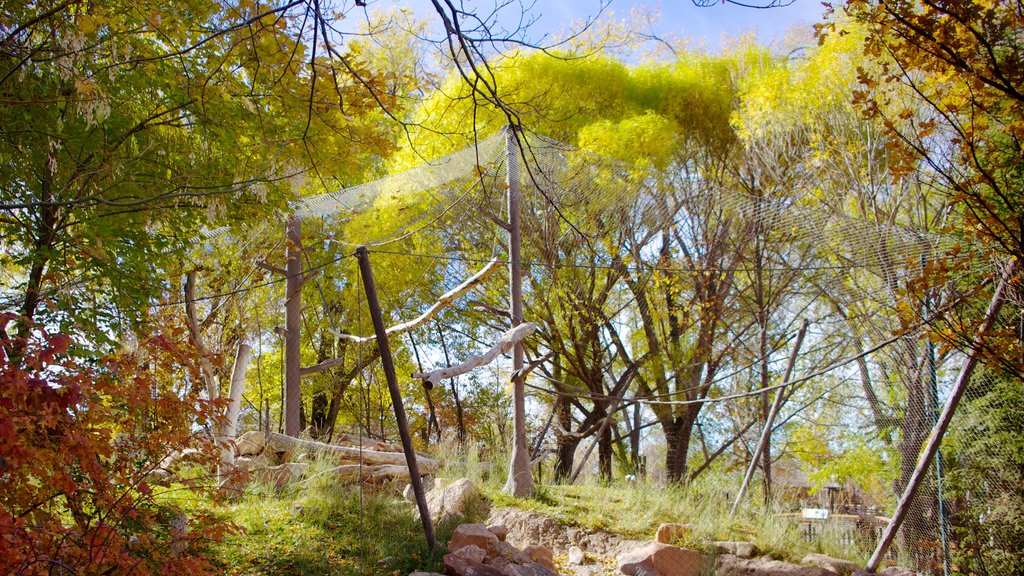 Hogle Zoo showing landscape views and a garden