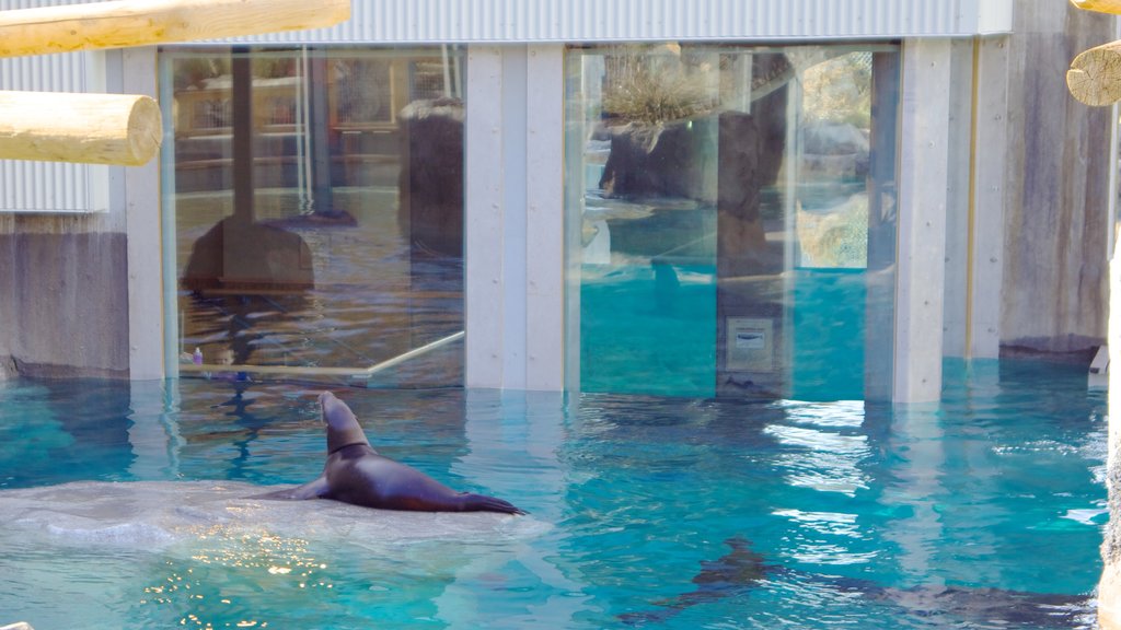 Hogle Zoo showing marine life and zoo animals