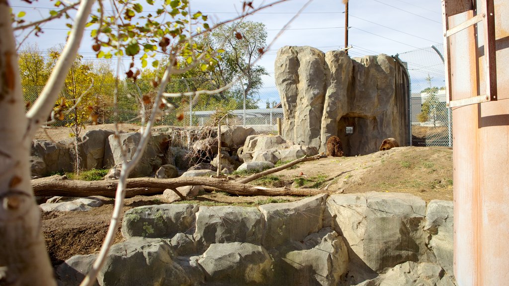 Hogle Zoo mostrando animales de zoológico y vista panorámica