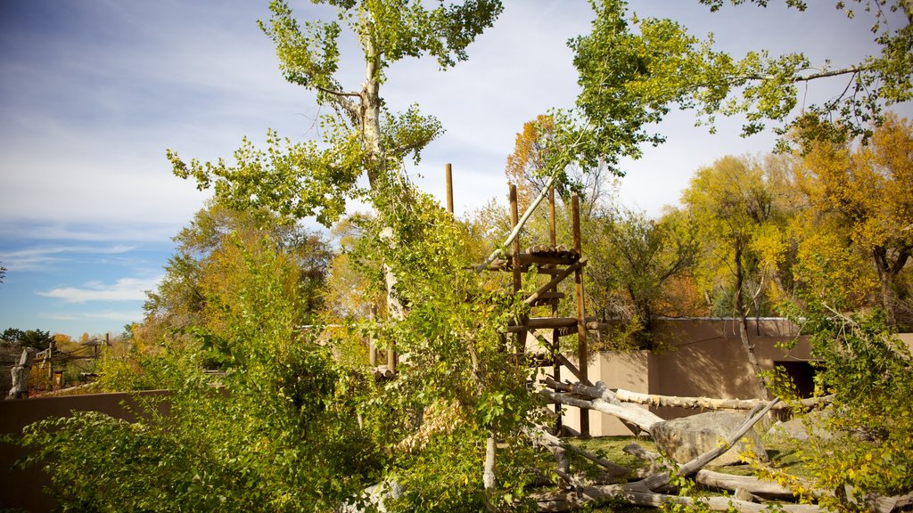 Hogle Zoo showing landscape views and zoo animals