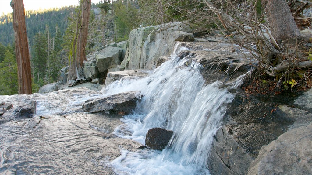 Emerald Bay State Park showing a park, landscape views and a waterfall