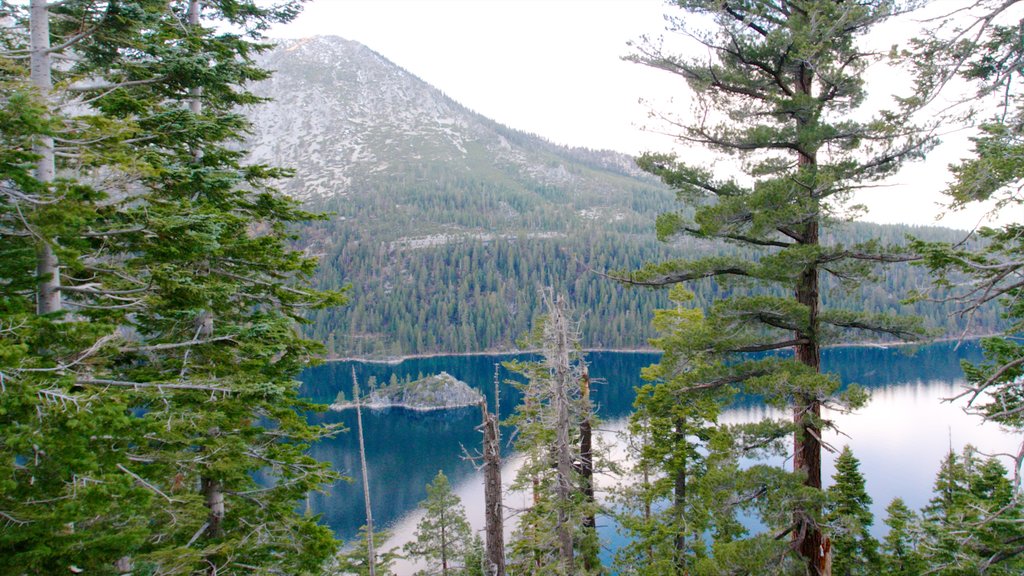 Emerald Bay State Park showing forest scenes, a lake or waterhole and a park