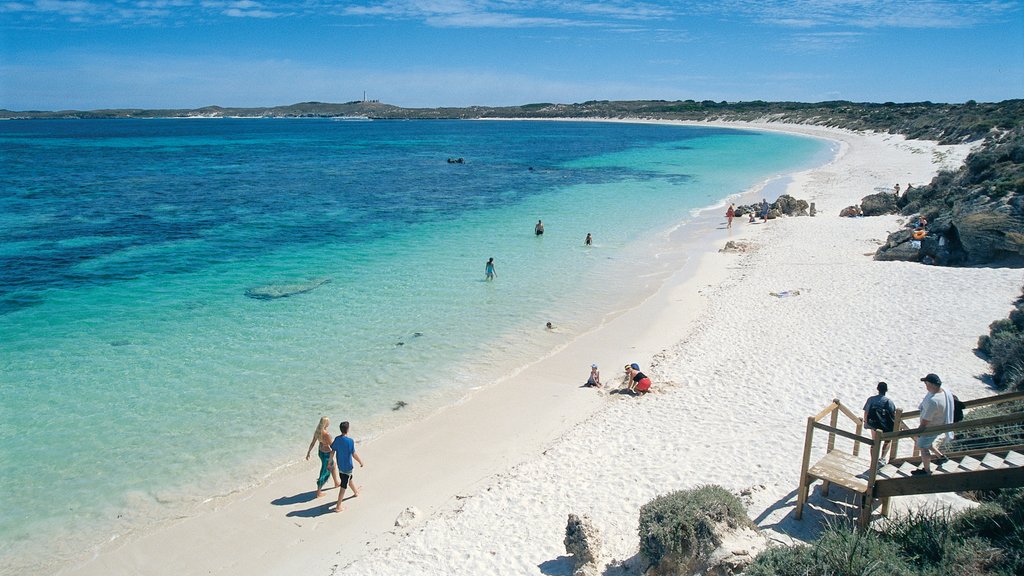 Rottnest Island som viser udsigt over landskaber, en strand og tropiske områder