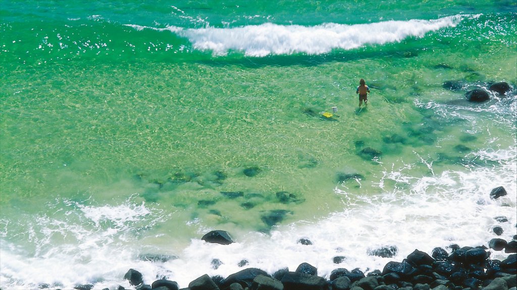 Burleigh Beach mostrando costa rocosa y también un hombre