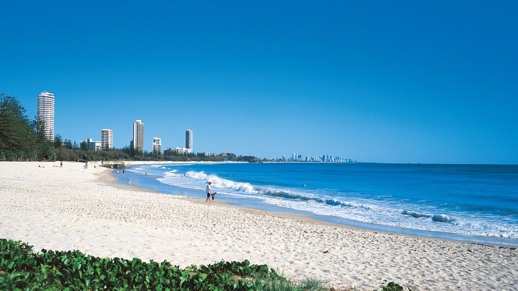 Burleigh Strand og byder på udsigt over kystområde, en sandstrand og skyline