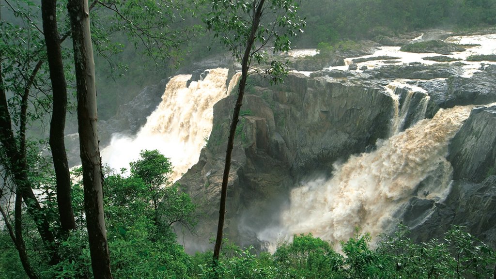 Barron Gorge National Park showing a cascade and a gorge or canyon