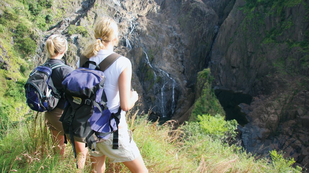 Barron Gorge National Park showing a gorge or canyon, hiking or walking and views