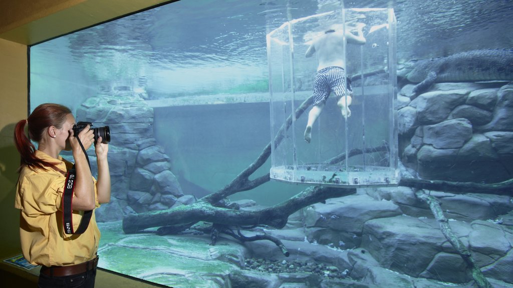 Crocosaurus Cove showing marine life and interior views as well as an individual female