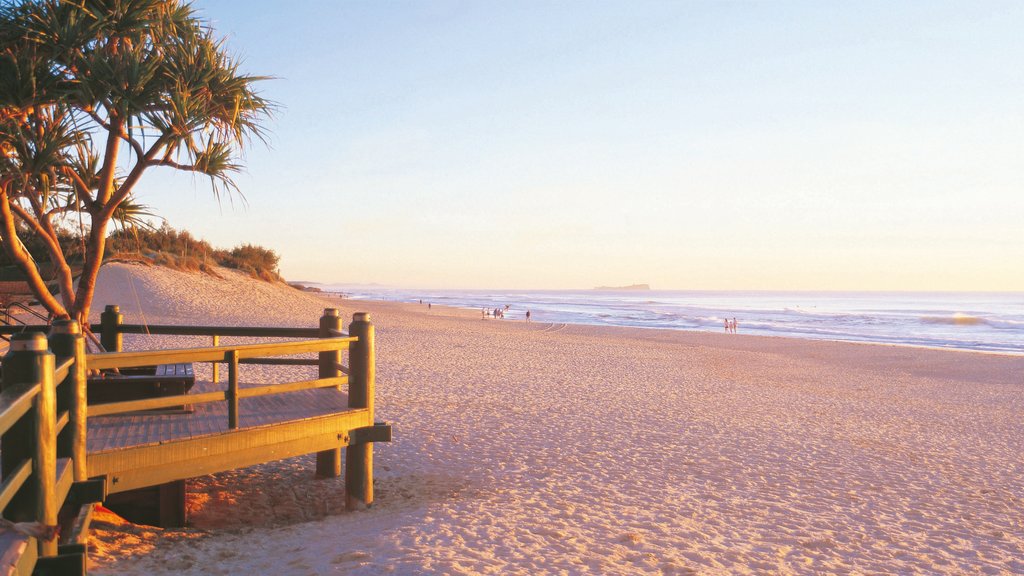 Maroochydore mostrando escenas tropicales, una playa de arena y vista panorámica