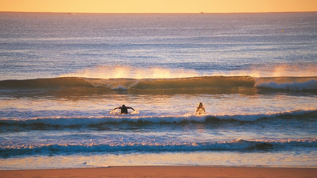 Maroochydore que incluye una playa de arena, un atardecer y olas