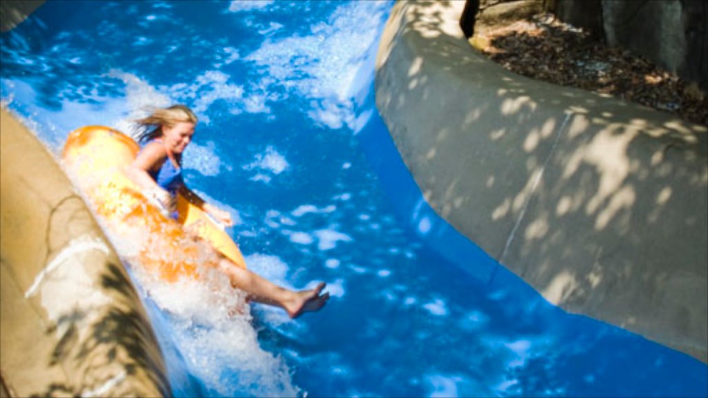 Six Flags White Water showing a waterpark, a pool and rides