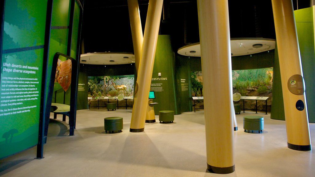 Utah Museum of Natural History featuring interior views