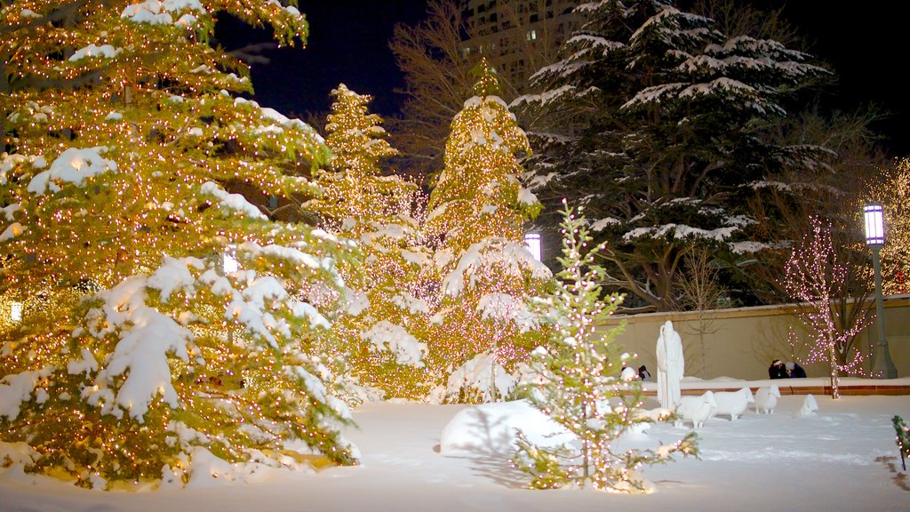 Salt Lake Temple que inclui neve, cenas noturnas e um templo ou local de adoração