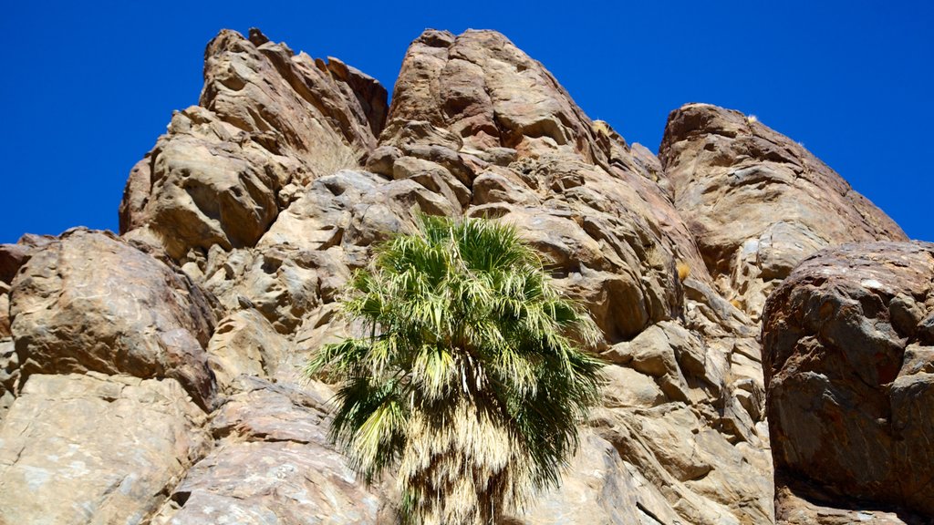 Indian Canyon showing a gorge or canyon and landscape views