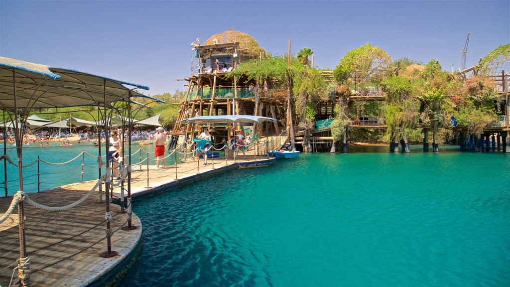 Dolphin Reef showing general coastal views as well as a small group of people