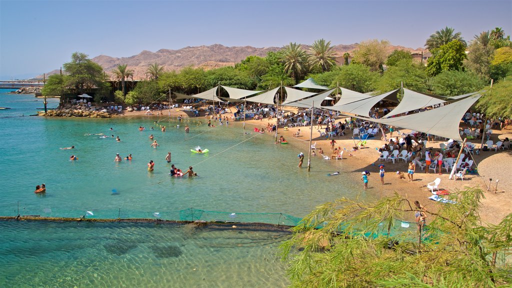 Dolphin Reef showing swimming, a beach and general coastal views