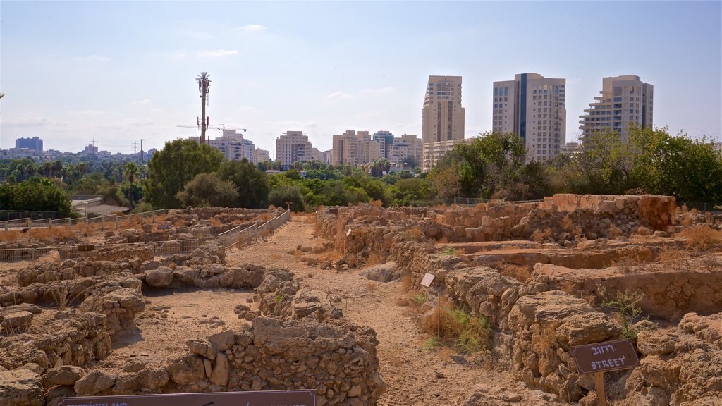 Eretz Israel Museum featuring landscape views, a ruin and a city