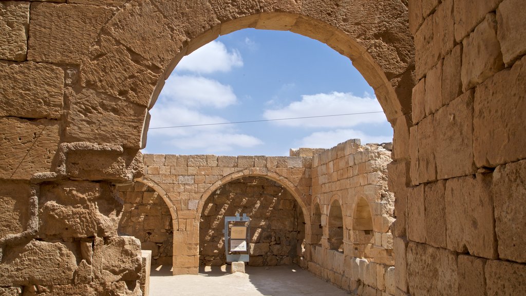 Mamshit National Park showing building ruins and heritage elements