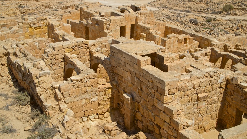 Parque nacional de Mamshit que incluye elementos del patrimonio, una ruina y vistas al desierto