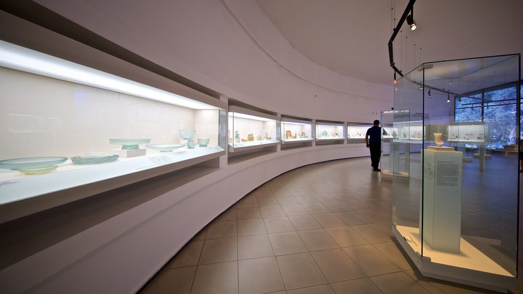 Eretz Israel Museum showing interior views