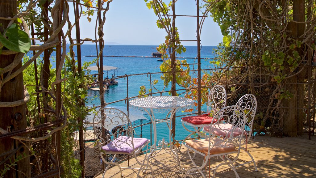 Dolphin Reef showing general coastal views