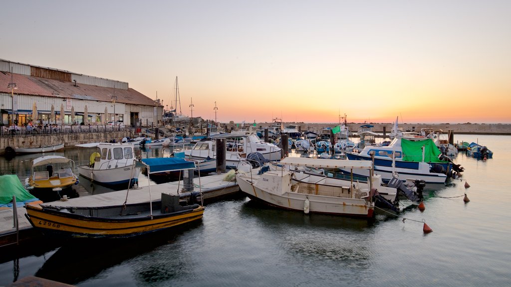 Jaffa Port showing a bay or harbour and a sunset