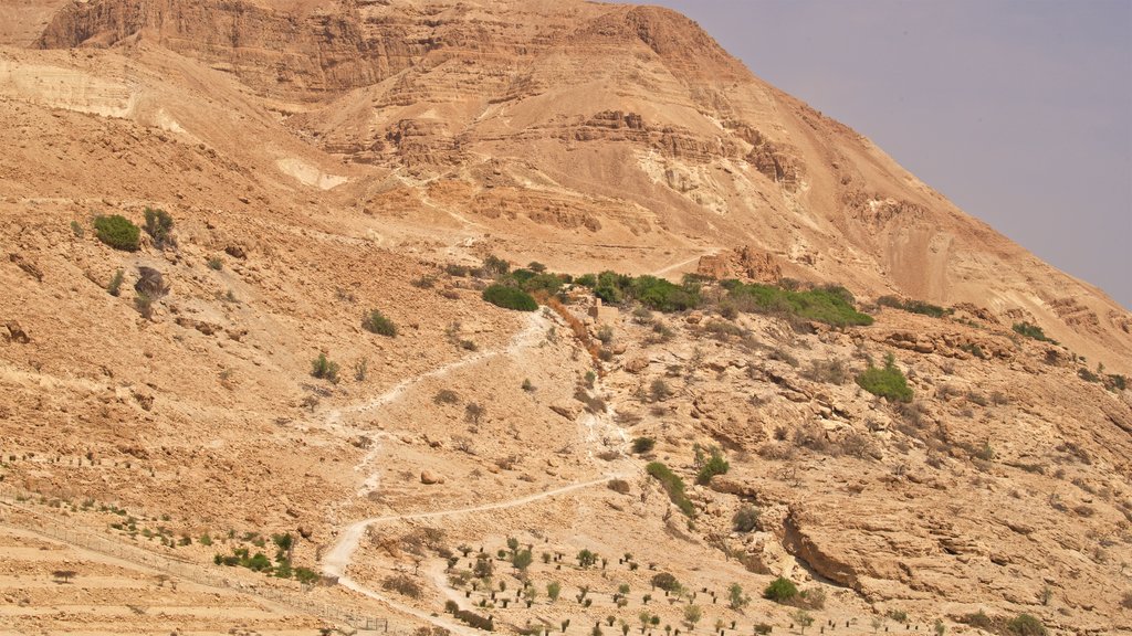 Parque Nacional de Ein Gedi ofreciendo montañas y paisajes desérticos