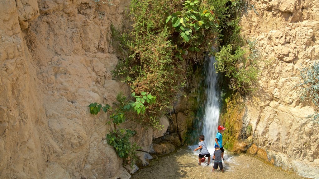 Parque Nacional de Ein Gedi mostrando una cascada y también niños