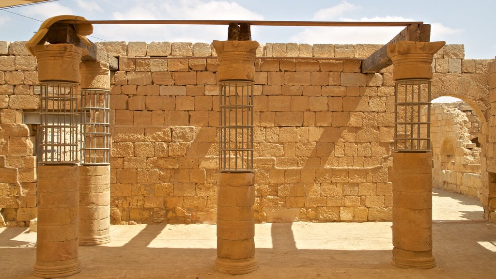 Parque nacional de Mamshit que incluye elementos del patrimonio