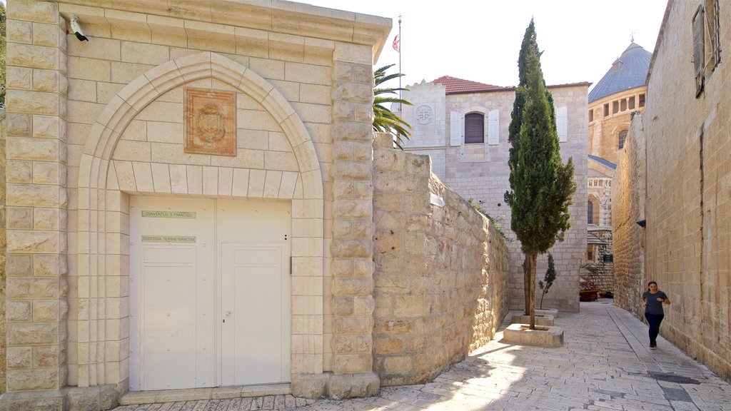 Dormition Abbey showing street scenes, heritage elements and a city