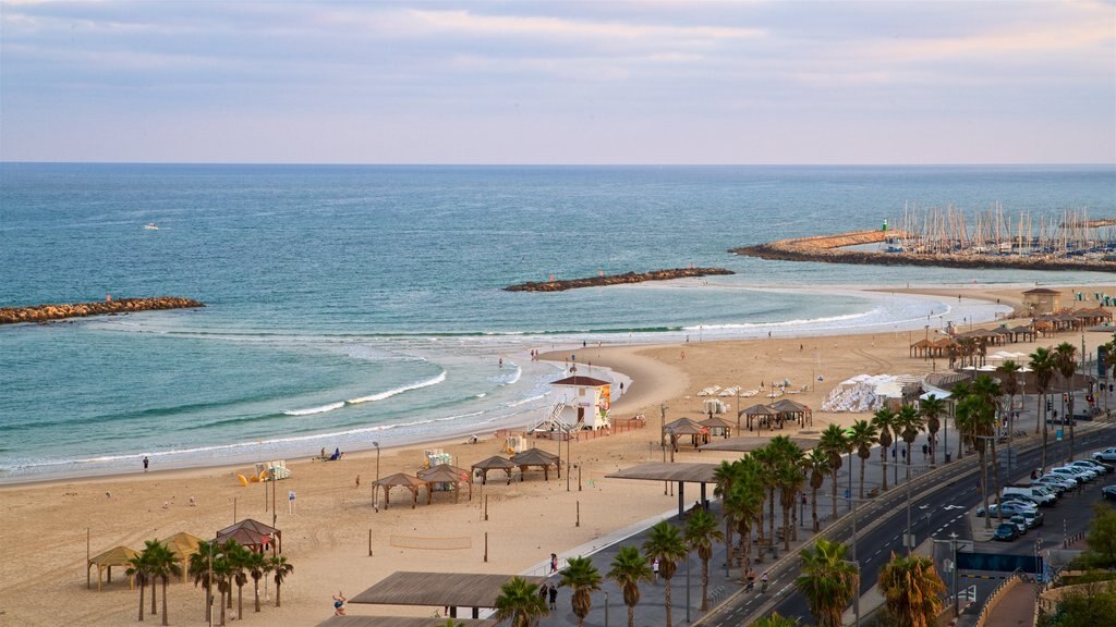 Playa Frishman ofreciendo una playa de arena, vista general a la costa y vista panorámica