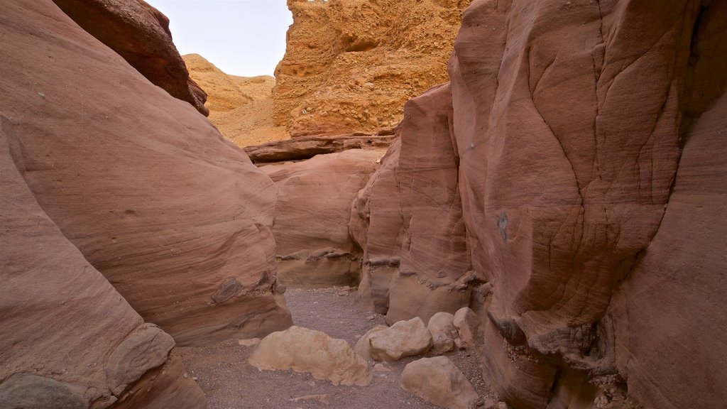 Red Canyon featuring a gorge or canyon