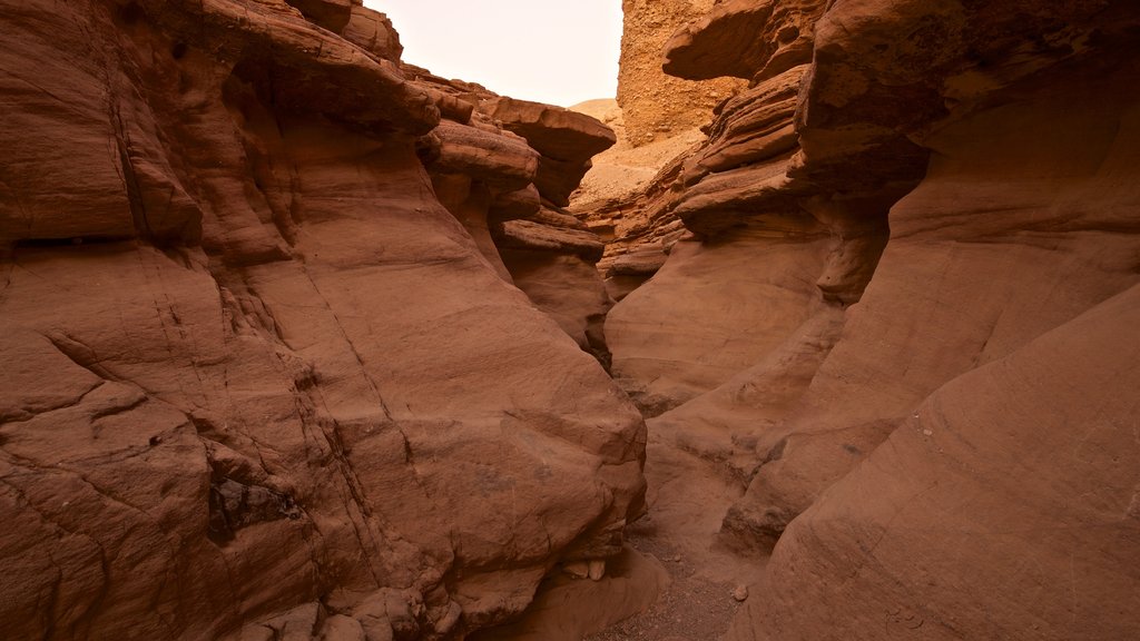 Cânion Vermelho mostrando um desfiladeiro ou canyon